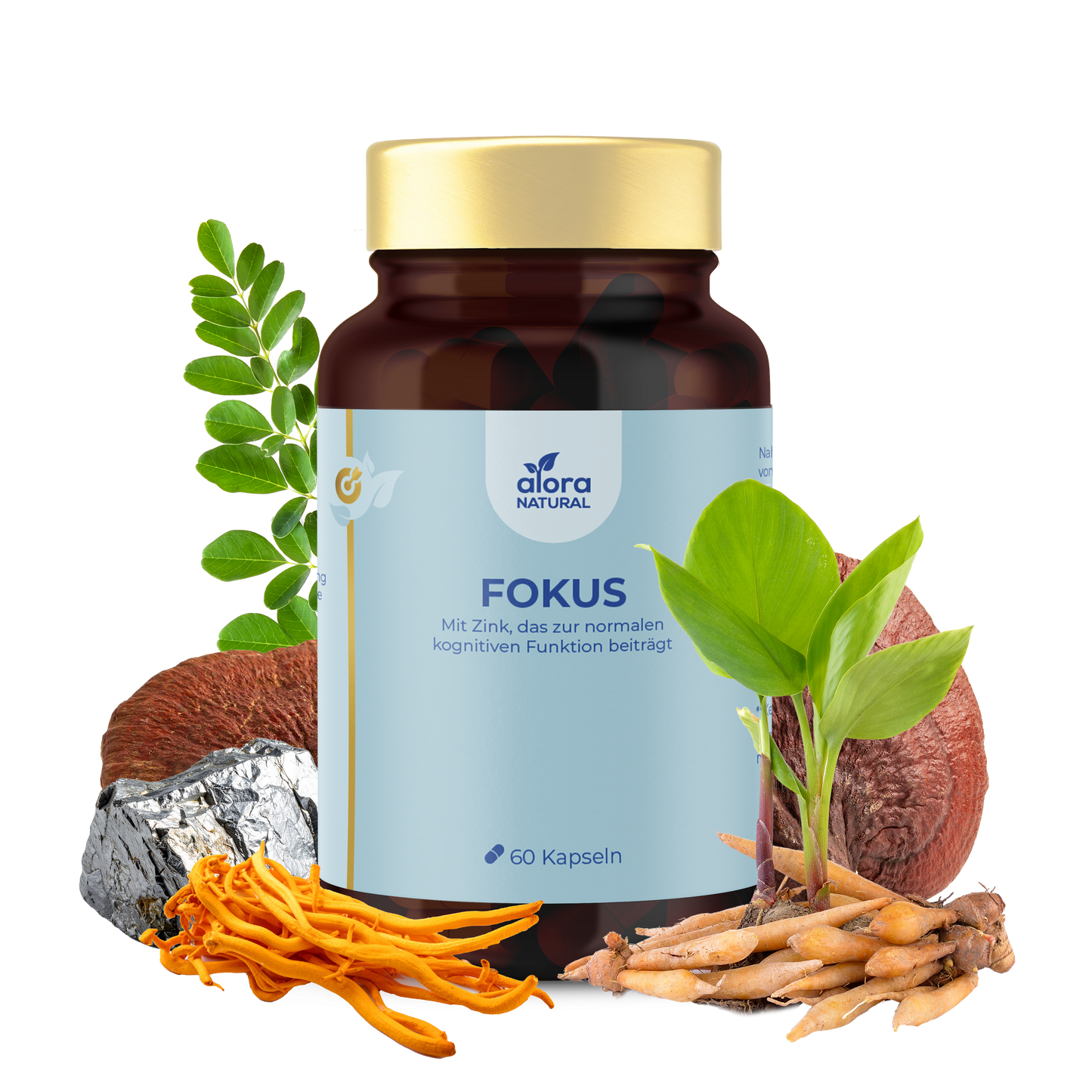 Fokus