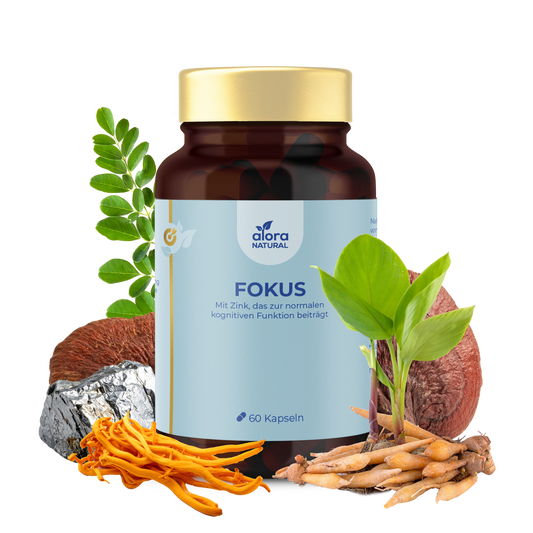Fokus